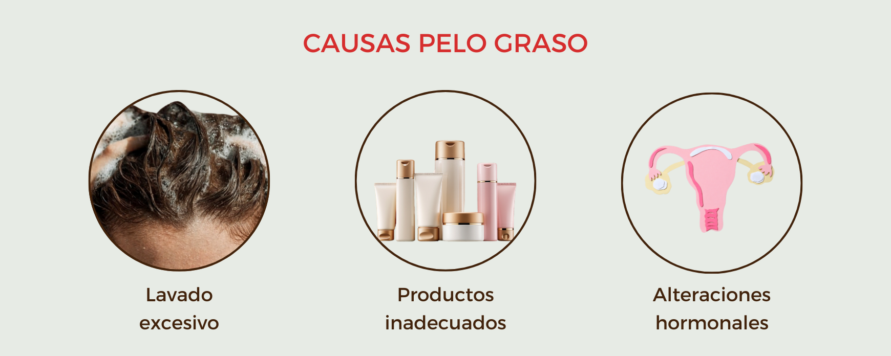 Causas del exceso de grasa en el cabello